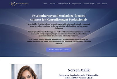 neurobridgepractice.com